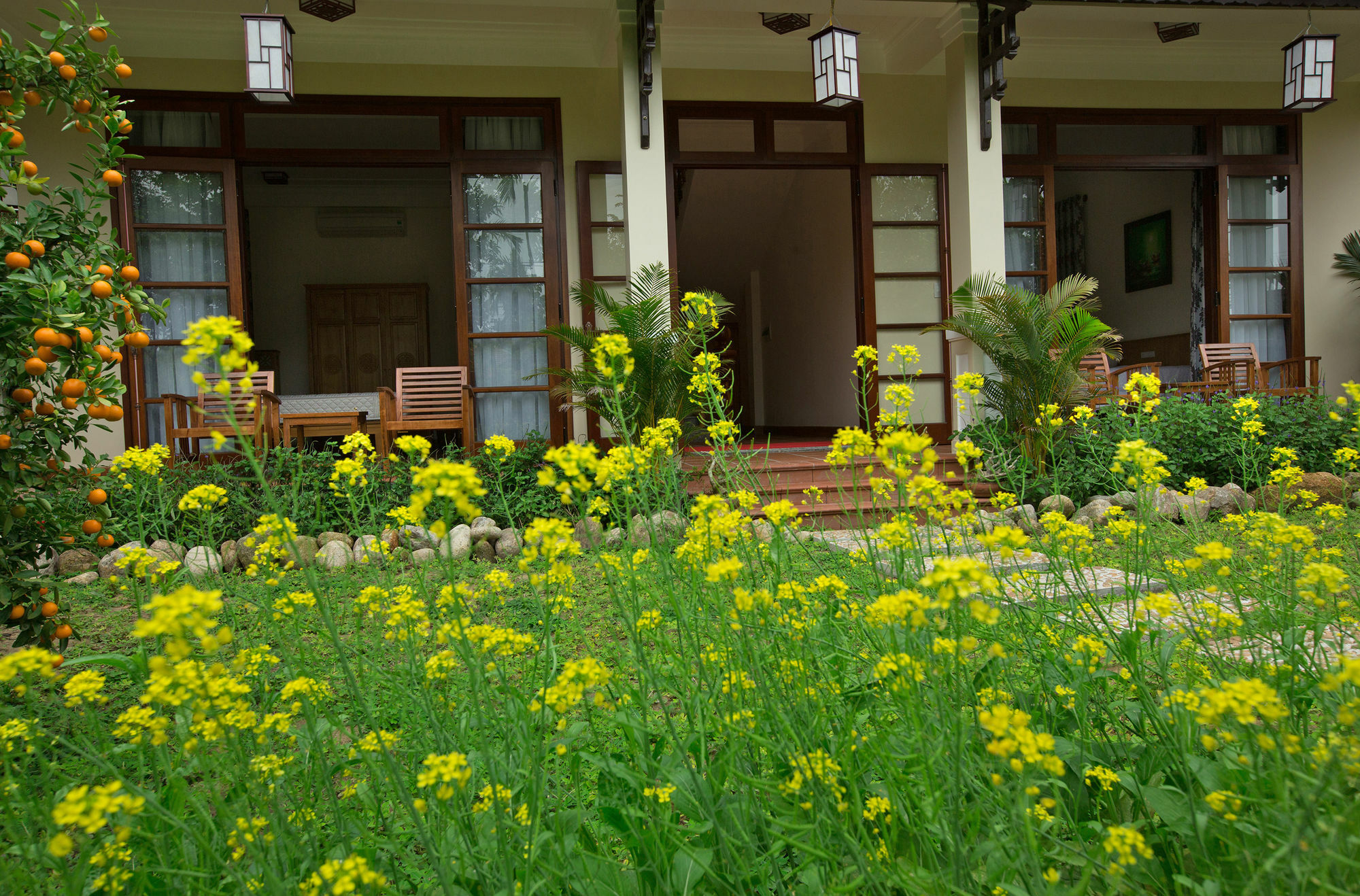 Tropical Garden & Pool Villa 会安 外观 照片